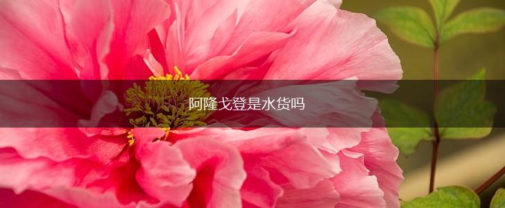 阿隆戈登是水货吗,第1张