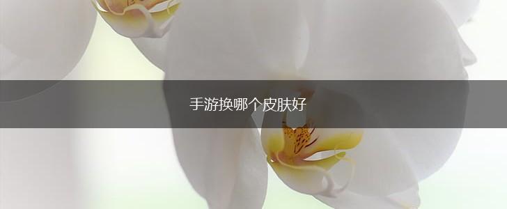 手游换哪个皮肤好,第1张