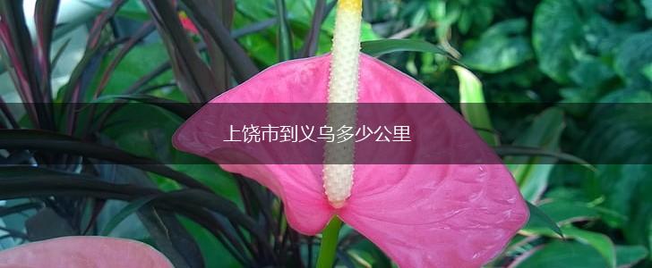 上饶市到义乌多少公里,第1张