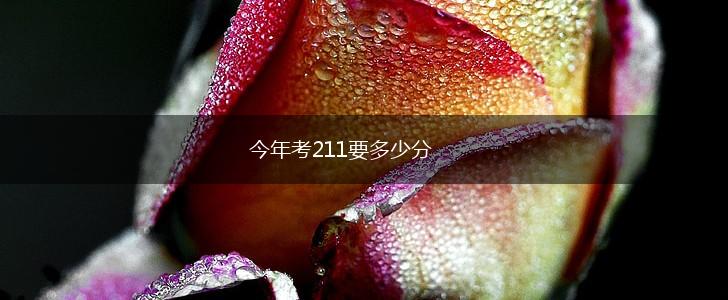今年考211要多少分,第1张
