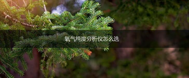 氧气纯度分析仪怎么选,第1张