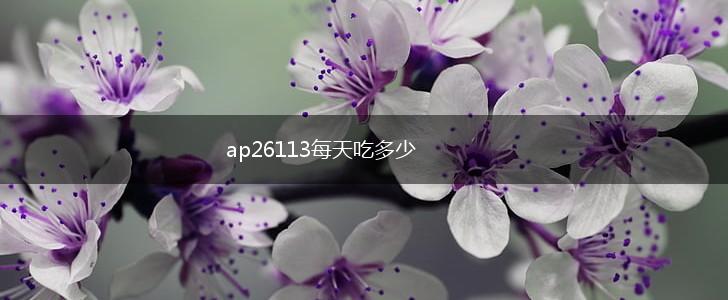 ap26113每天吃多少,第1张