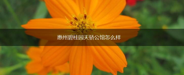 惠州碧桂园天骄公馆怎么样,第1张