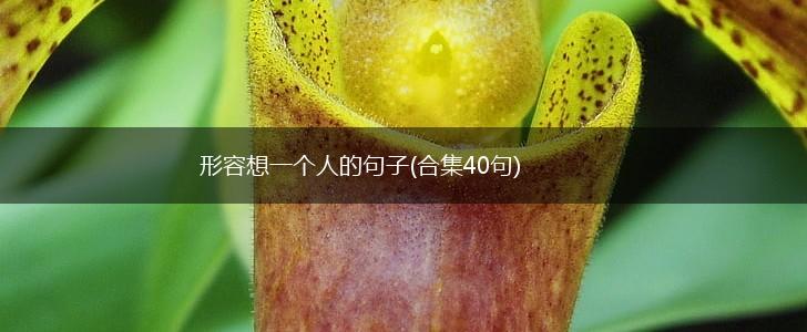 形容想一个人的句子(合集40句),第1张