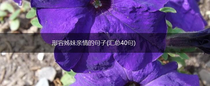 形容姊妹亲情的句子(汇总40句),第1张