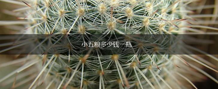 小五粮多少钱一瓶,第1张