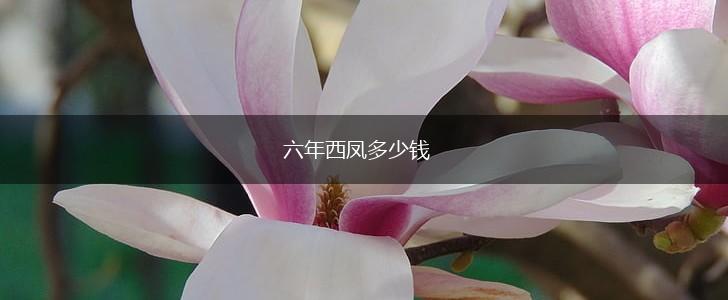 六年西凤多少钱,第1张