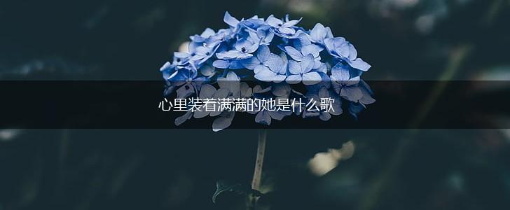 心里装着满满的她是什么歌,第1张