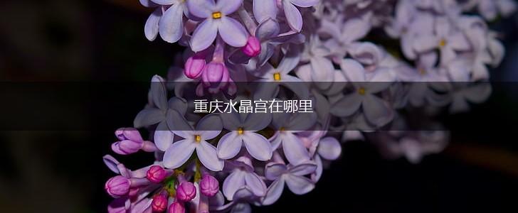 重庆水晶宫在哪里,第1张