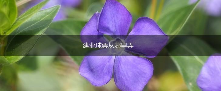 建业球票从哪里弄,第1张