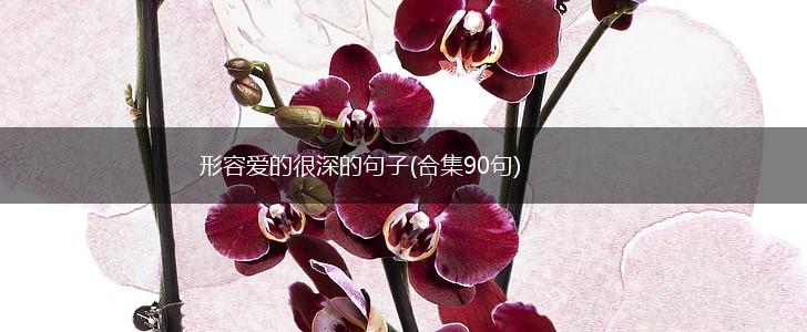 形容爱的很深的句子(合集90句),第1张
