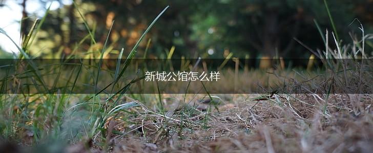 新城公馆怎么样,第1张