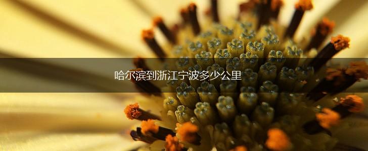 哈尔滨到浙江宁波多少公里,第1张