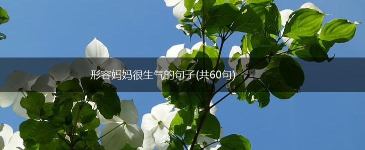 形容妈妈很生气的句子(共60句),第1张