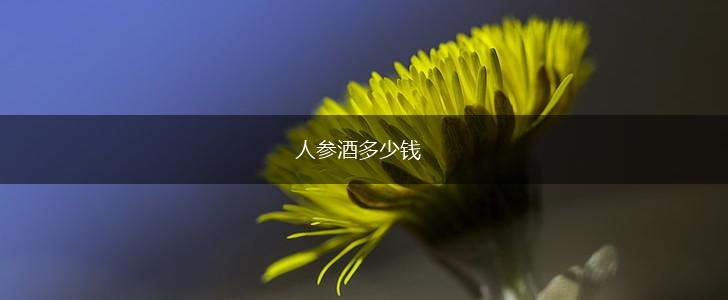 人参酒多少钱,第1张