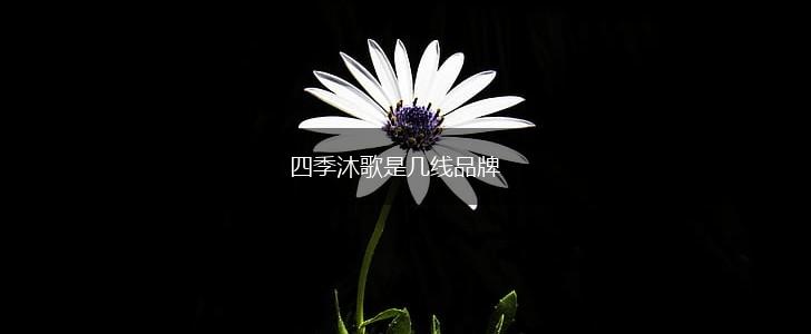四季沐歌是几线品牌,第1张