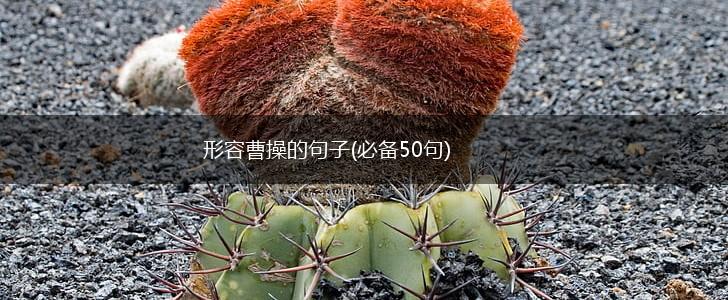 形容曹操的句子(必备50句),第1张