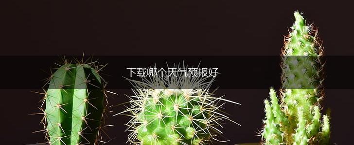 下载哪个天气预报好,第1张