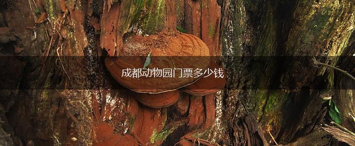 成都动物园门票多少钱,第1张