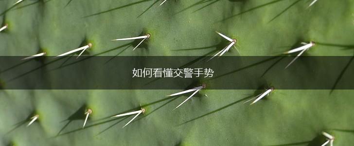 如何看懂交警手势,第1张
