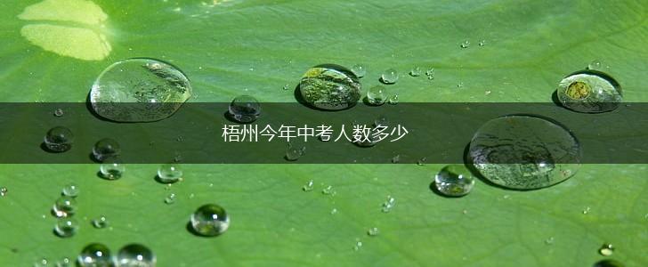 梧州今年中考人数多少,第1张
