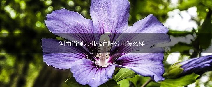 河南省强力机械有限公司怎么样,第1张