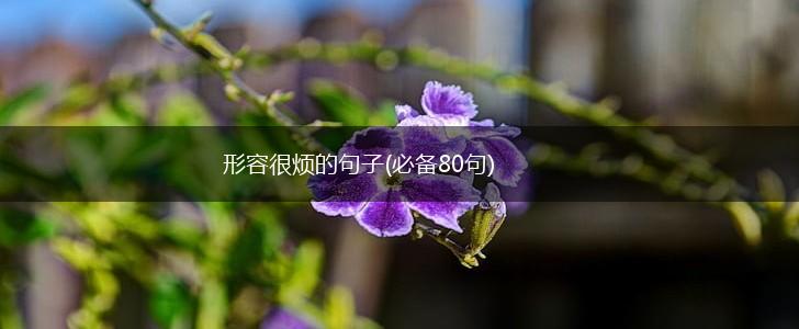 形容很烦的句子(必备80句),第1张