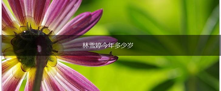 林雪婷今年多少岁,第1张