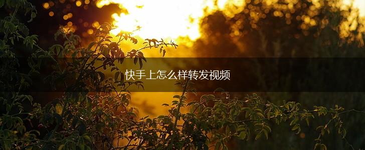 快手上怎么样转发视频,第1张