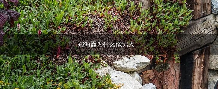 郑海霞为什么像男人,第1张