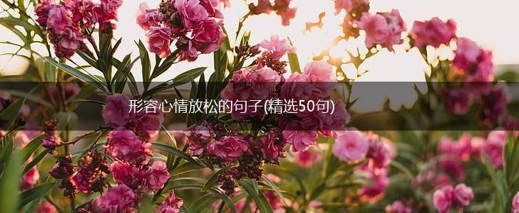 形容心情放松的句子(精选50句),第1张