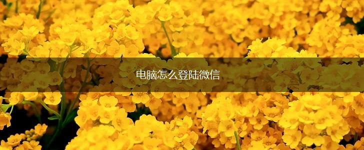 电脑怎么登陆微信,第1张