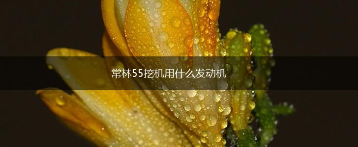 常林55挖机用什么发动机,第1张