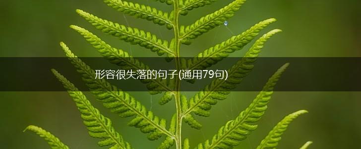 形容很失落的句子(通用79句),第1张
