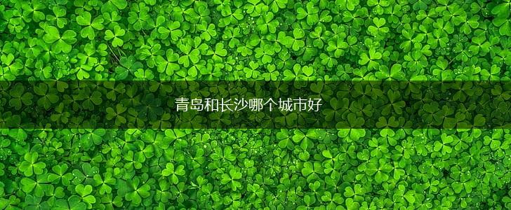 青岛和长沙哪个城市好,第1张