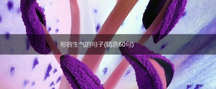 形容生气的句子(精选60句),第1张