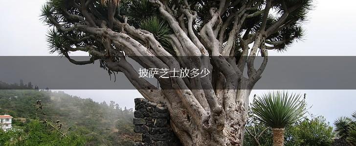 披萨芝士放多少,第1张