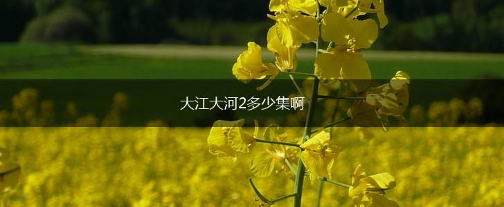 大江大河2多少集啊,第1张