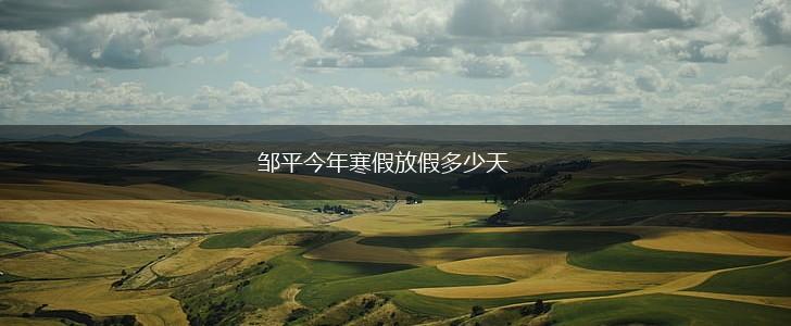 邹平今年寒假放假多少天,第1张
