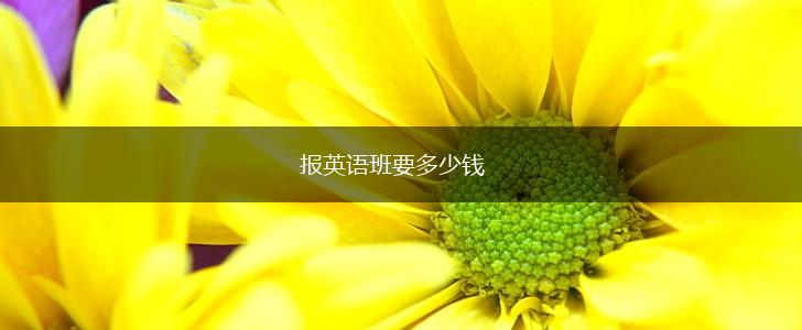 报英语班要多少钱,第1张