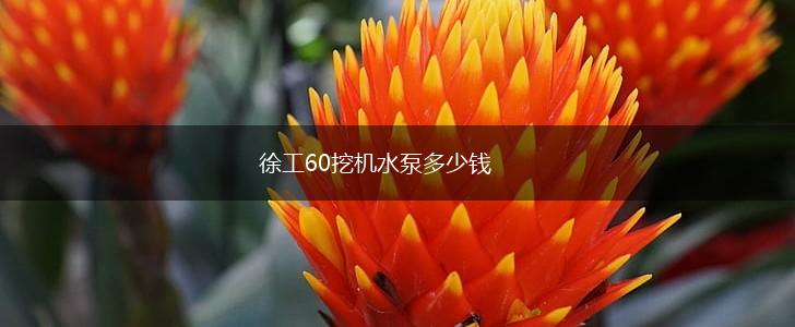 徐工60挖机水泵多少钱,第1张