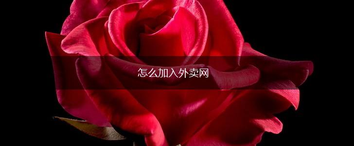 怎么加入外卖网,第1张