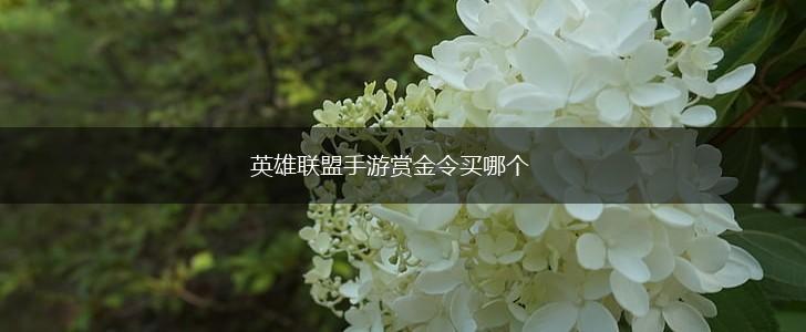 英雄联盟手游赏金令买哪个,第1张
