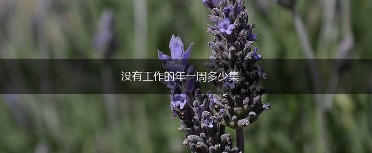 没有工作的年一周多少集,第1张