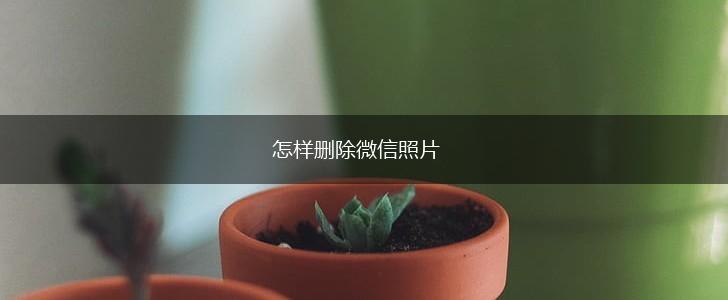 怎样删除微信照片,第1张