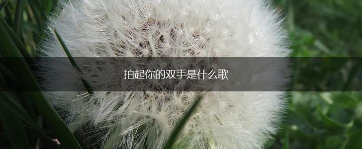 拍起你的双手是什么歌,第1张