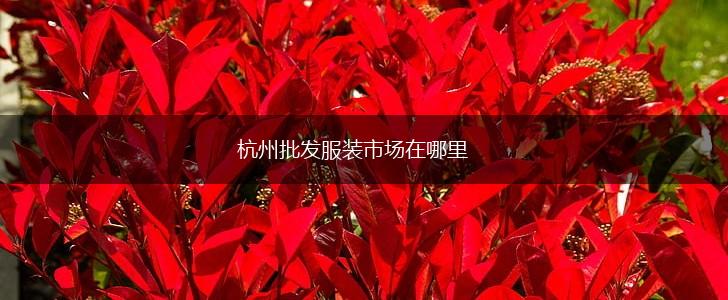 杭州批发服装市场在哪里,第1张