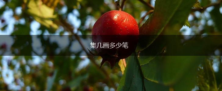 集几画多少笔,第1张