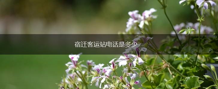 宿迁客运站电话是多少,第1张