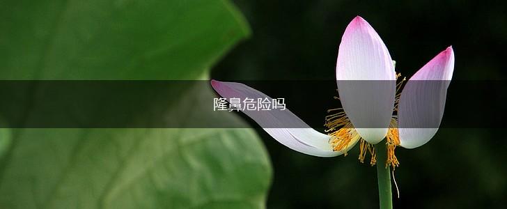 隆鼻危险吗,第1张